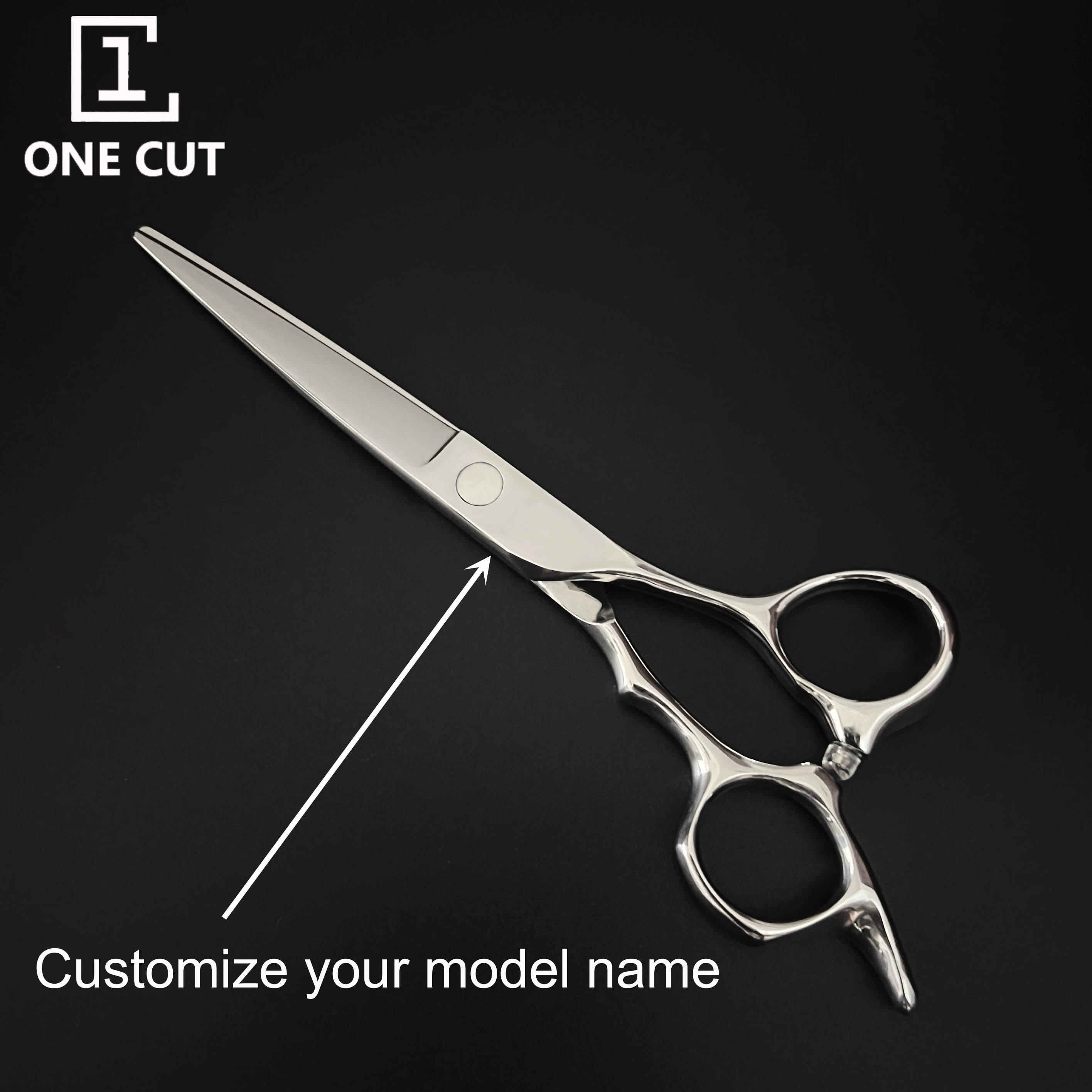 Salon Professional Japanese Style VG10 Steel Barber Hair Cutting Scissors