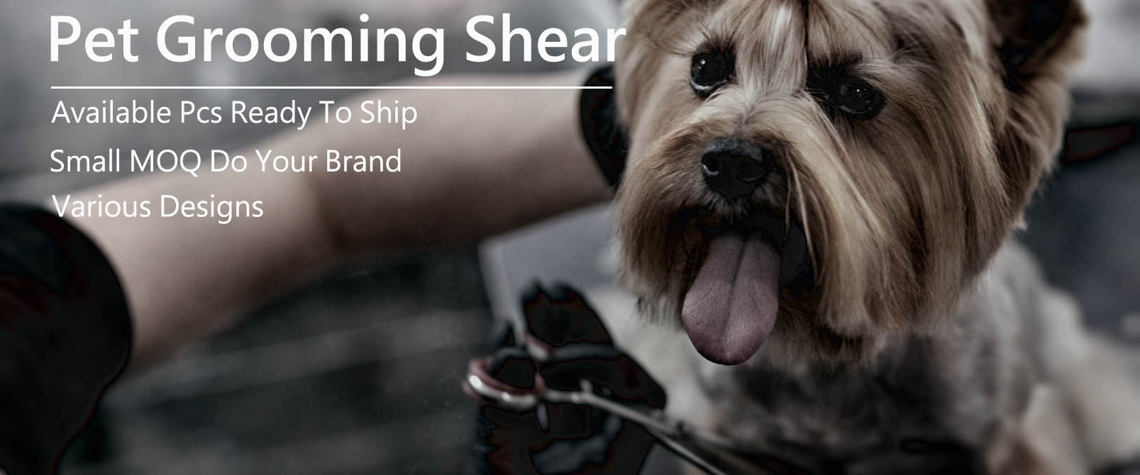 Curved Dog Grooming Chunker Scissors 18 Teeth Scissors Pet Grooming Scissors 6.5 Inch Curved Dog Grooming Chunker Scissors 18 Teeth Scissors Pet Grooming Scissors 6.5 Inch