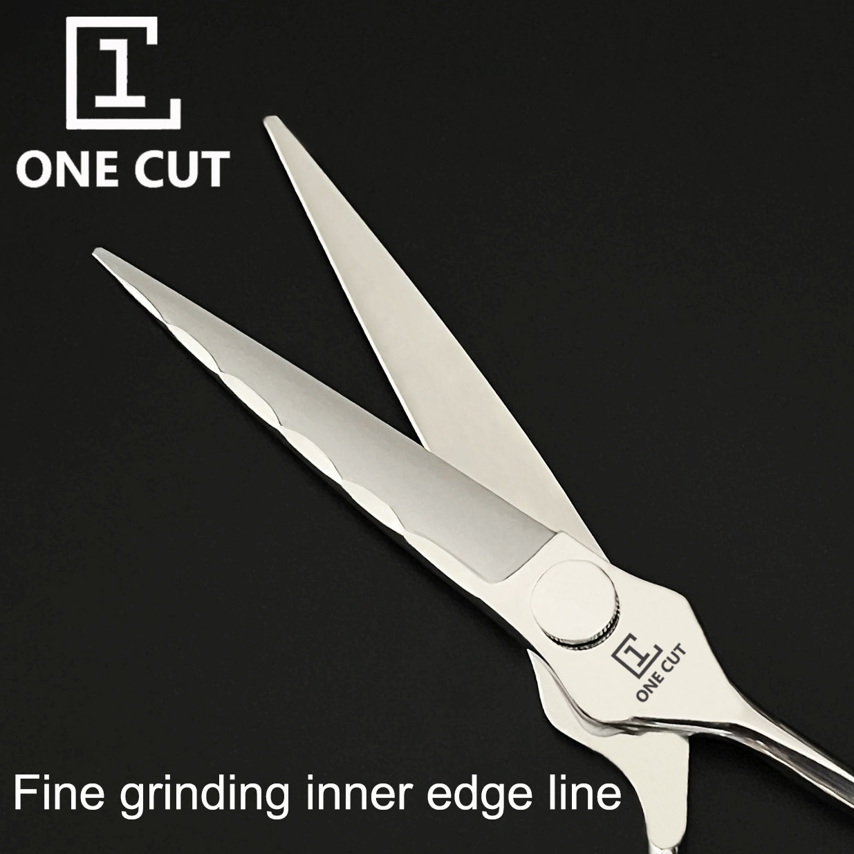 Wet Dry Cutting Professional Hair Scissors 6 Inch Japan 440C Hair Cutting Scissors